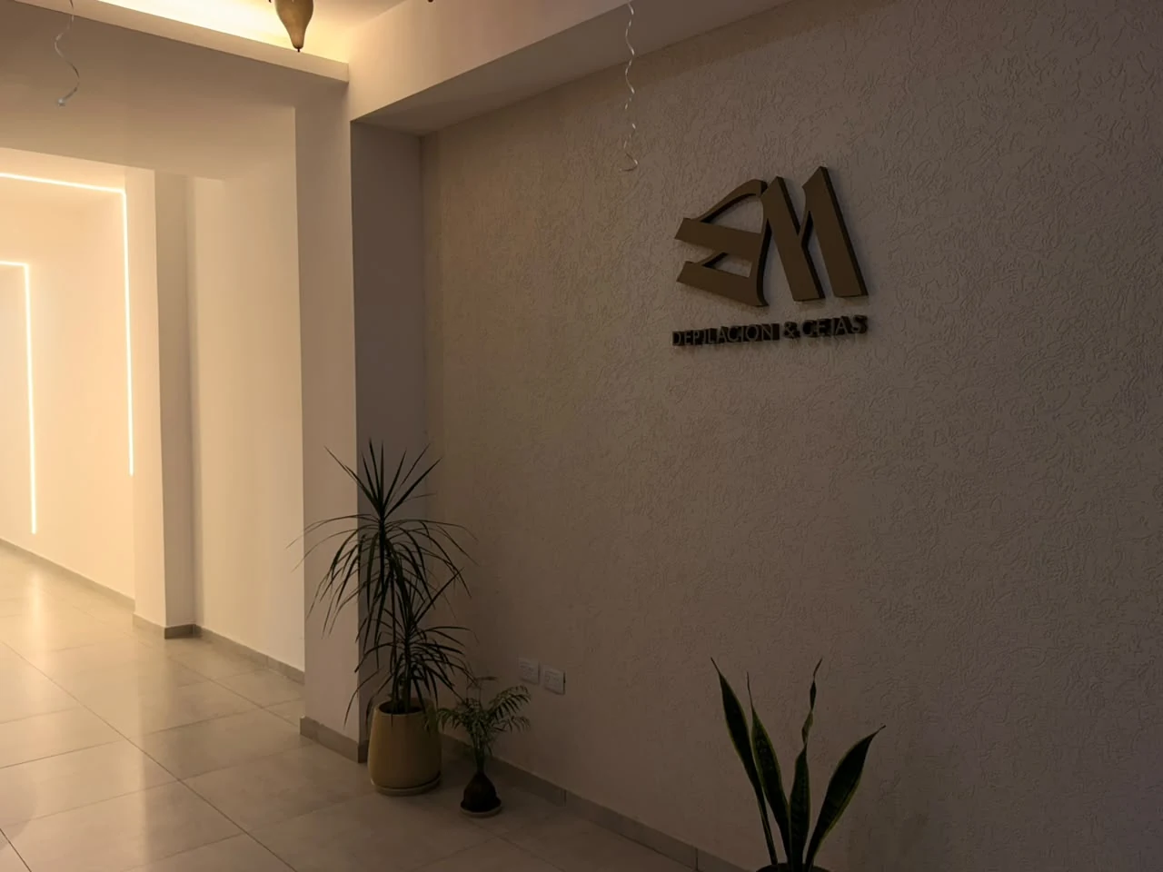 Recepción real de EM